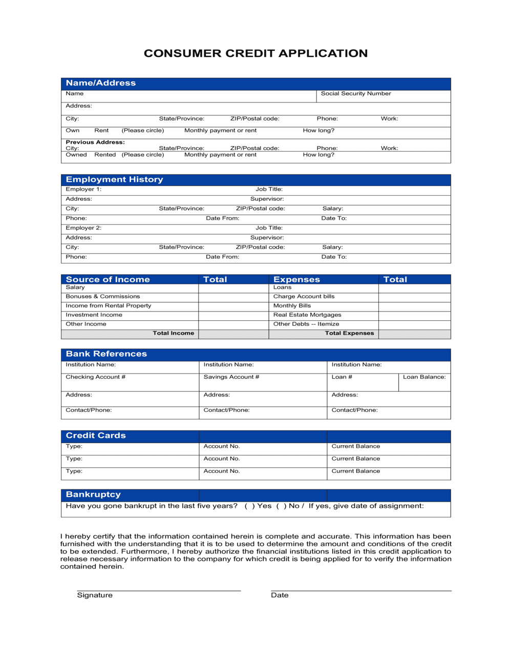 Consumer Credit Application Template