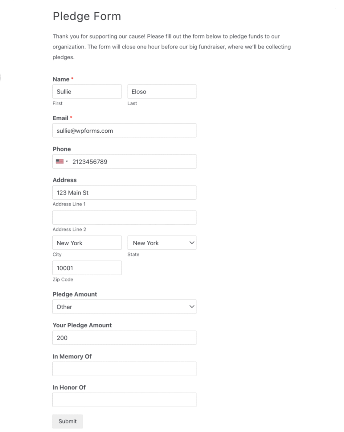 Pledge Form Template