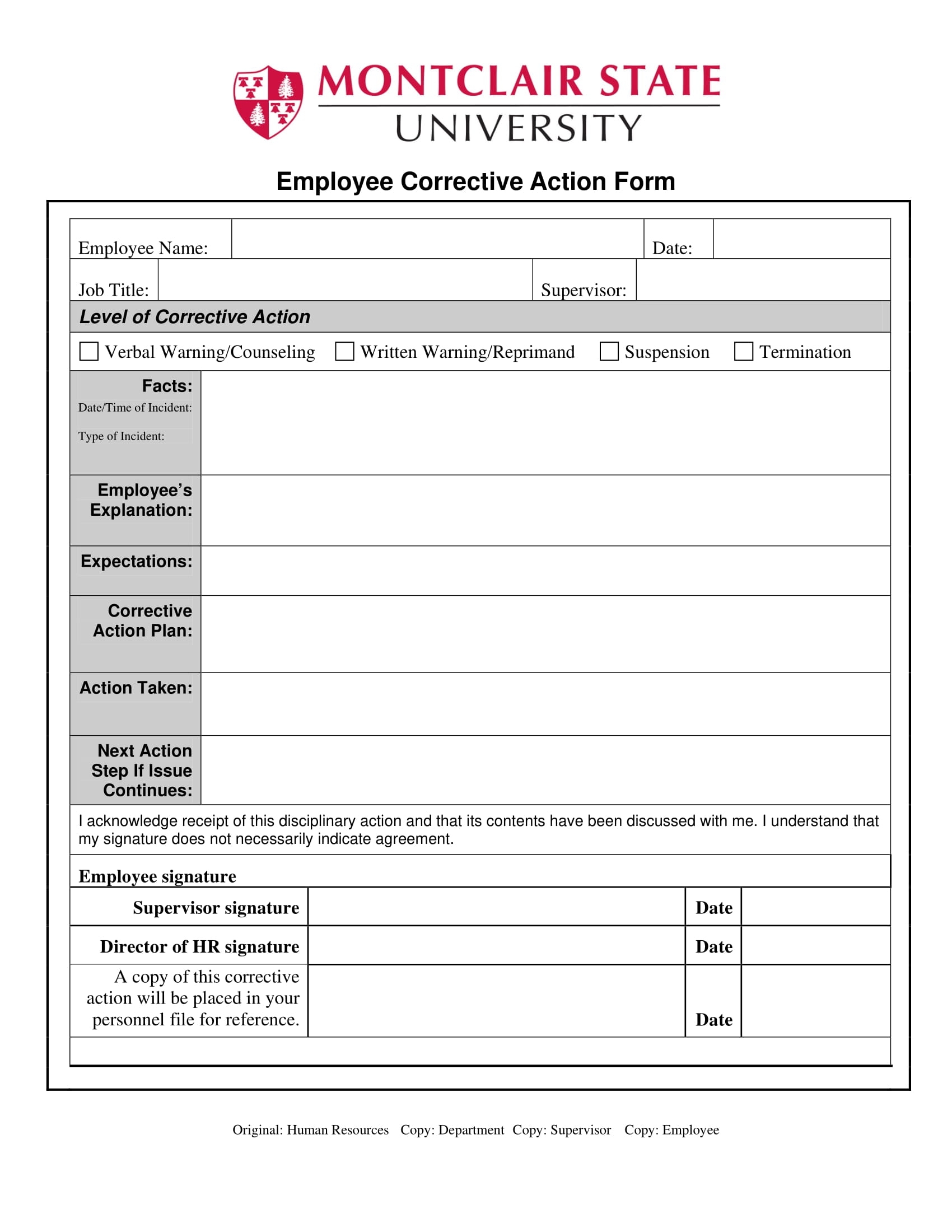 10 Disciplinary Action Form Examples To Download