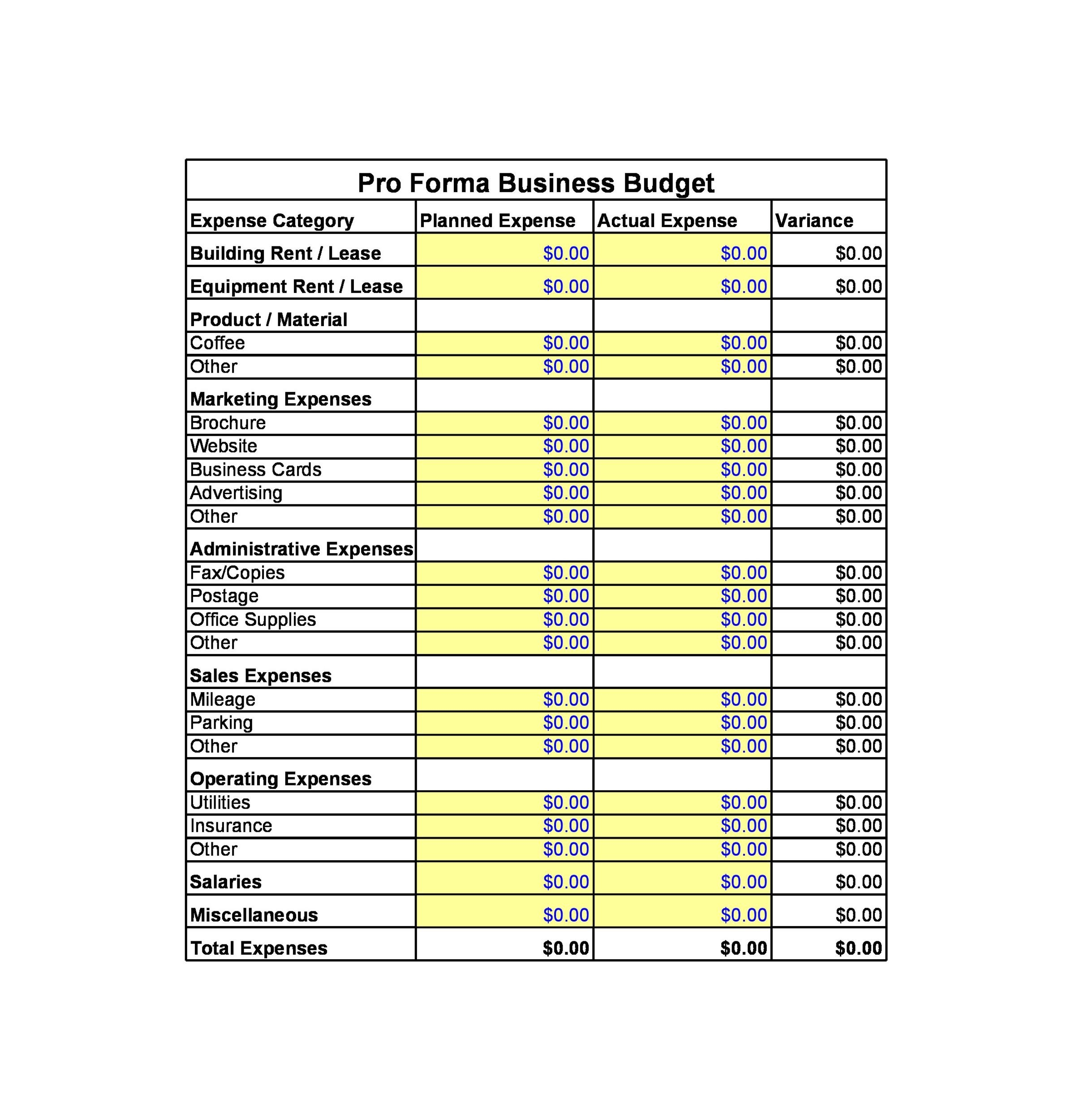 Pro Forma Budget Template
