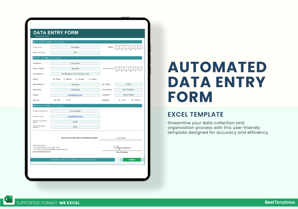 Automated Data Entry Form Excel Template Best Templates