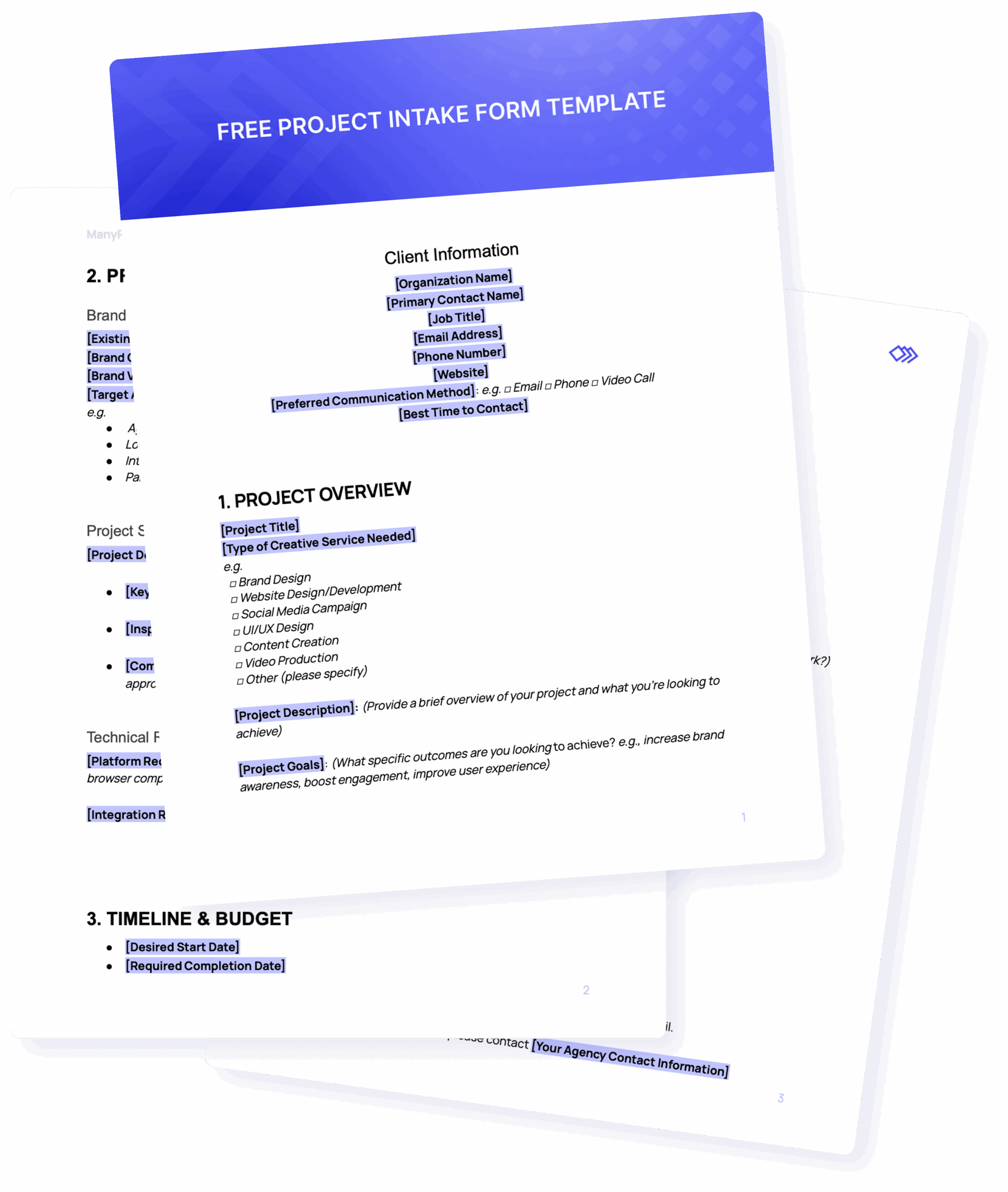 Free Project Intake Form Template Docs DOCX 