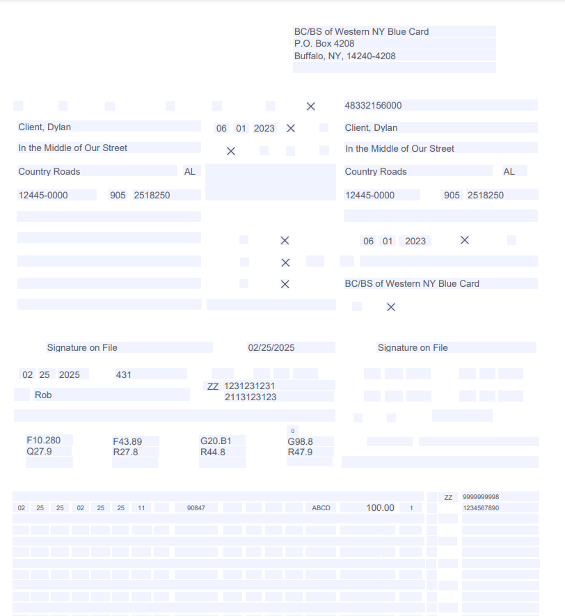 Cms 1500 Form Template