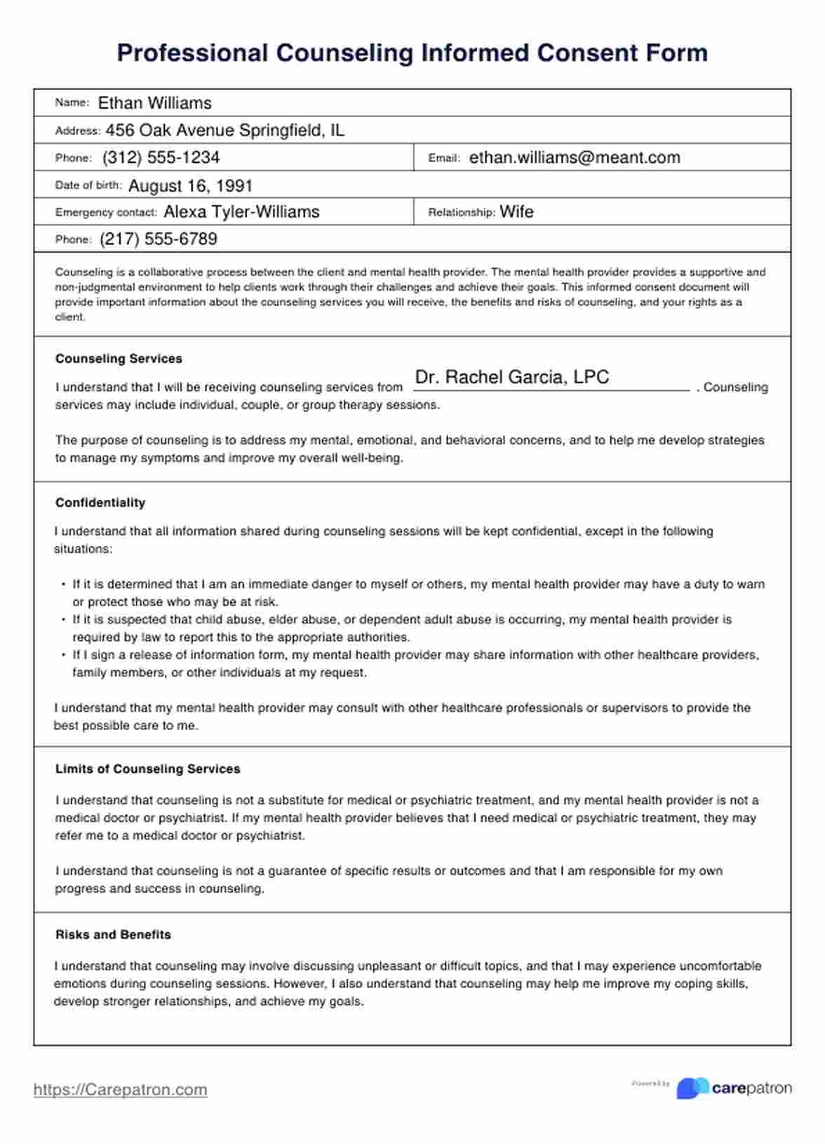 Professional Counseling Informed Consent Form U0026 Example Free PDF 
