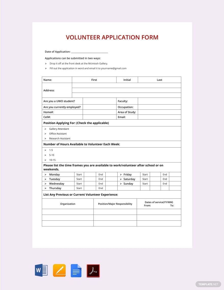 Volunteer Application Template In Word Pages PDF Google Docs 